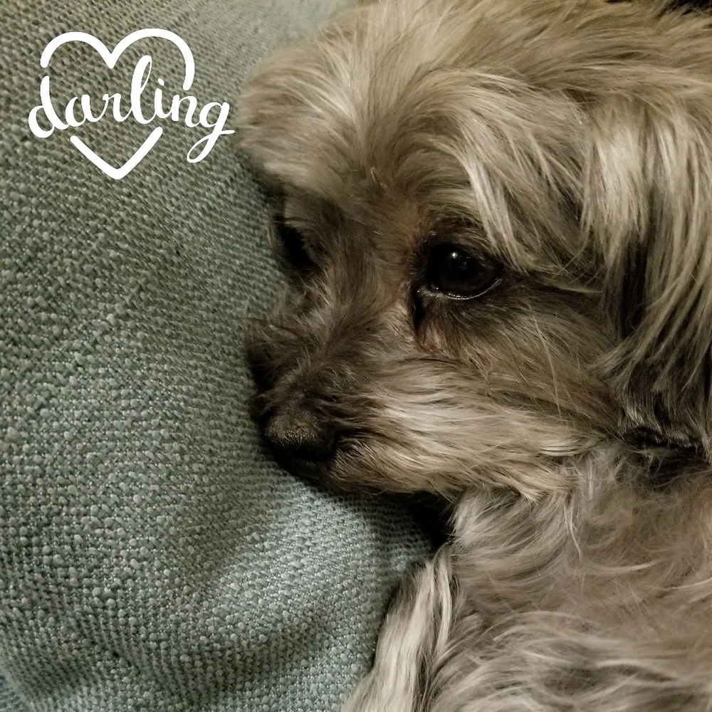 Meet your Posher, Eva